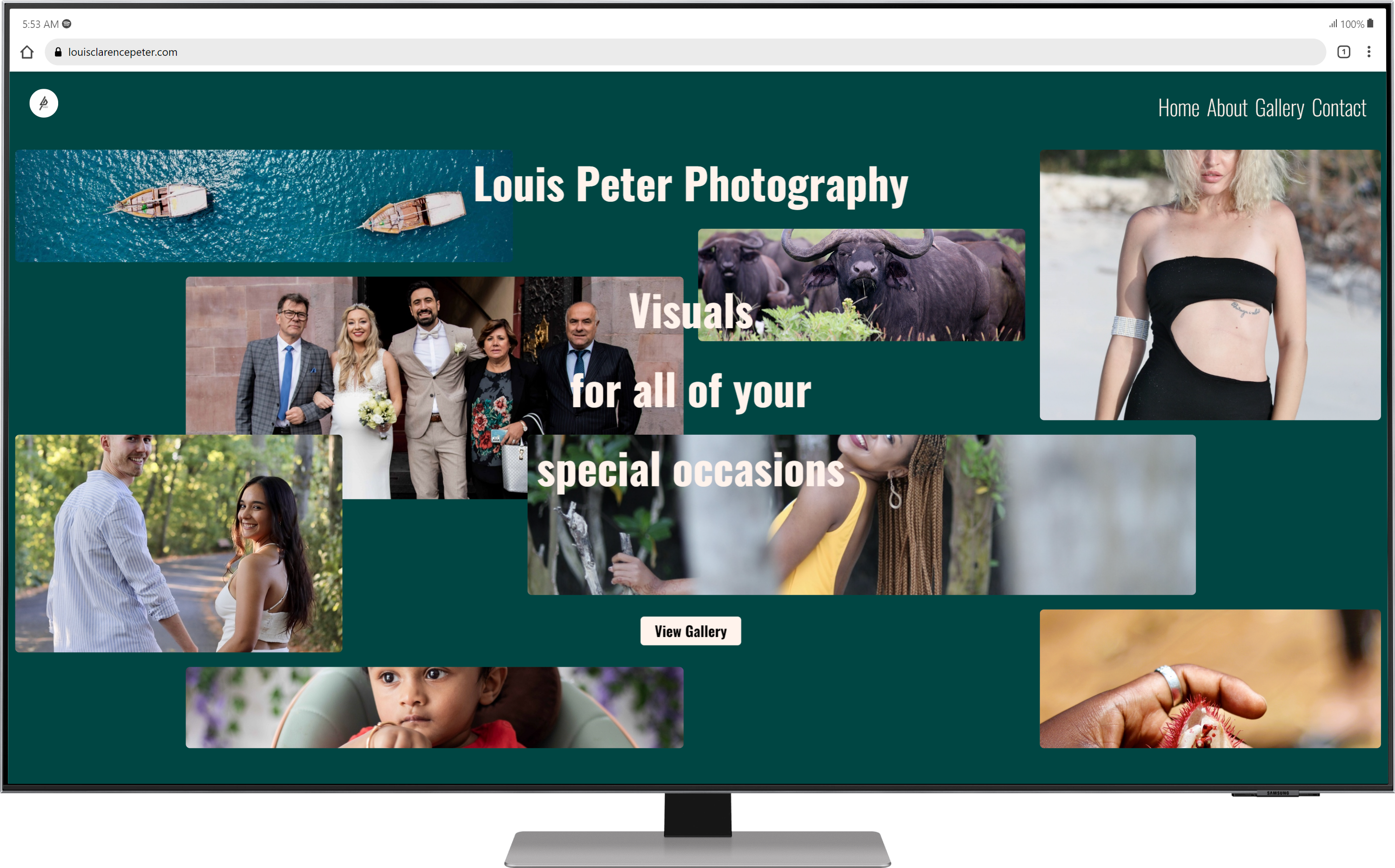 Link to Louis Peter Photography Project